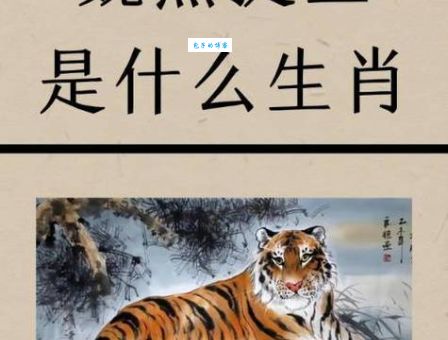 敲山震虎是什么意思解一生肖(生肖背后隐藏的真正深意)