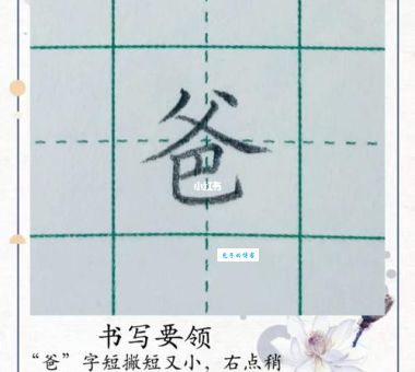 爸字笔顺很多人都写错了!这几个易错点一定要注意!