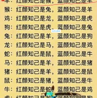 旁门左道打一准确生肖谜底揭秘：原来是这个生肖！