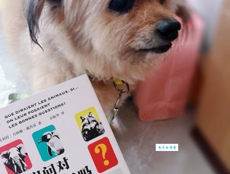 为什么说群魔乱舞打一个准确动物是它?答案解析让你恍然大悟!