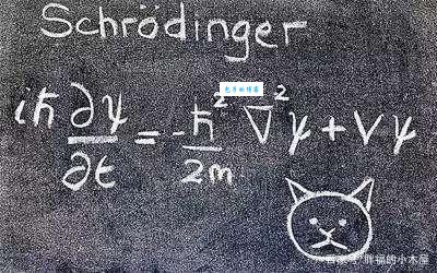 波函数是真实存在的吗?听听哥本哈根学派怎么说的!