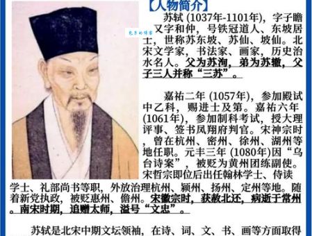 苏洵简介讲了什么内容 (苏老泉的生平事迹全知道)