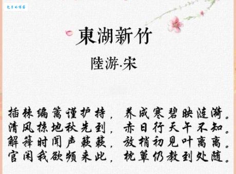 东湖新竹的作者是谁？一篇文章带你认识这位诗人