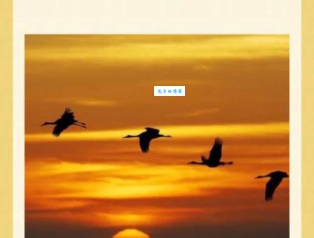 读懂苏子美的诗有什么技巧?他豪迈奔放的风格怎么形成的?