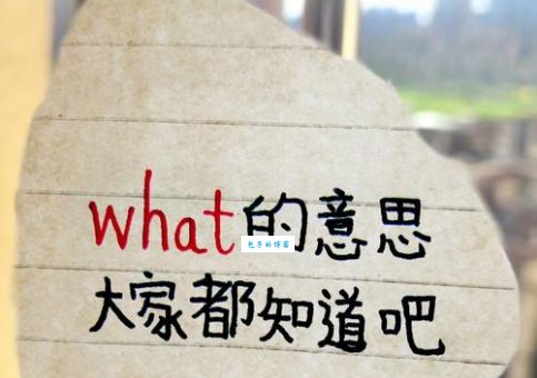 呈现的意思到底是什么？简单易懂解释让你秒懂！