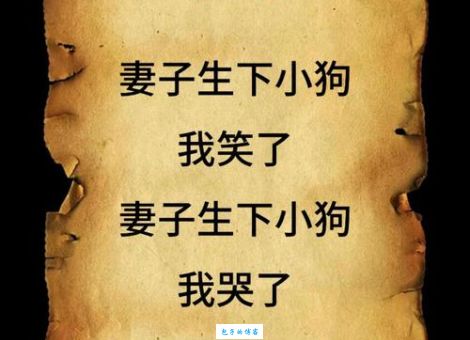 一只黑狗不叫不吼打一个字,这道题的正确答案你绝对想不到!