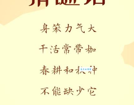 言及之而不言打一字为何是它？深入解析猜谜技巧！