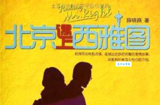 北京遇上西雅图经典语录怎么用?(教你一招秒变文艺青年)