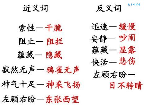 东张西望的反义词有哪些？最常用的几个都在这里了！