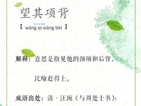 快速学会望其项背造句：专家教你一句话搞定！