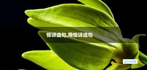 诧异造句不会写怎么办?教你区分“惊讶”和“诧异”