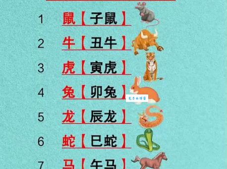 宽宏大量的生肖有哪些？快来看看你的属相上榜没