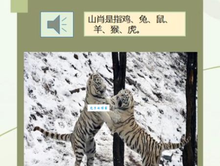 东山再起打一生肖动物正确答案，看完你就懂！