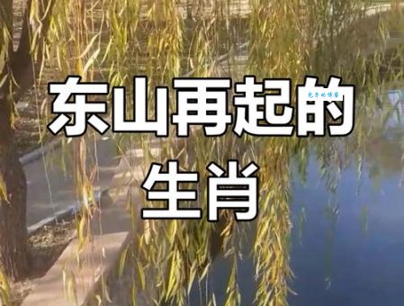 找到东山再起打一最准确生肖,帮你快速解惑!