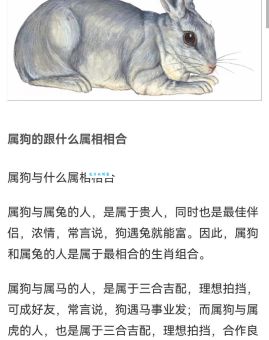 快来学习犬兔俱毙是什么生肖？轻松掌握！