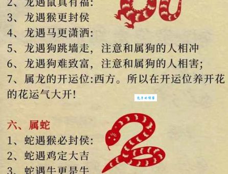 2013年12生肖运势怎么样？看这里教你把握机遇！