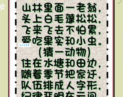 这个谜语难倒你了吗？风华正茂打一准确生肖这样猜！