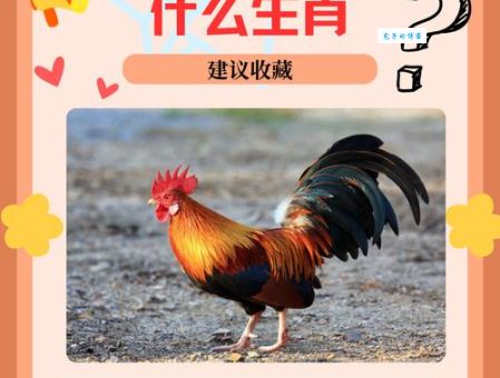 夯雀先飞三个生肖怎么看？专家教你把握好运势！