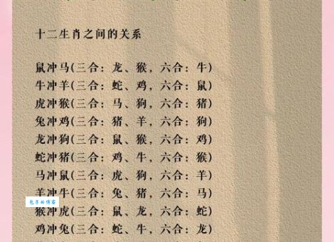 声色犬马打一正确生肖详解，让你秒懂生肖的奥秘！