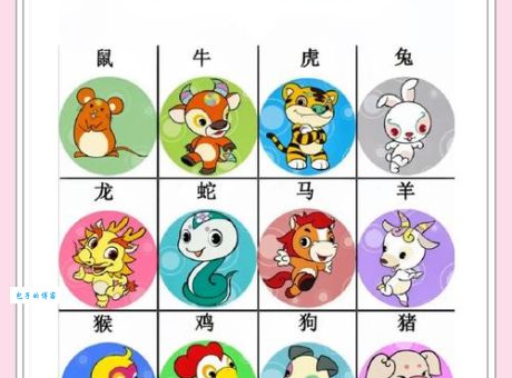 风华正茂是指什么生肖?其实根本没有固定生肖!