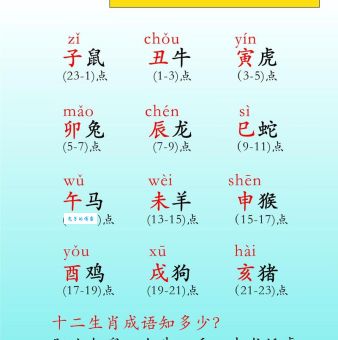 少年十五二十时指的是哪个生肖？快速揭秘！