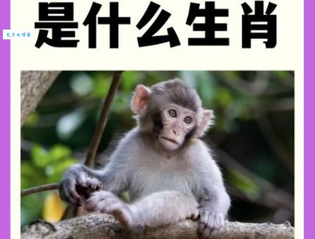 揭秘趾高气扬打一准确生肖，原来是这个动物！