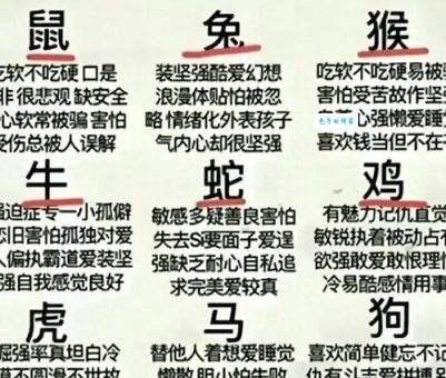 实实在在的生肖有哪些特点(看懂生肖与你生活的关系)