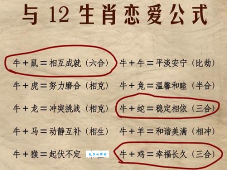 九牛一毛打一最准生肖是哪个？高手都在这里猜中了！