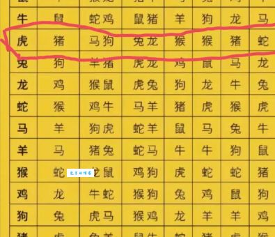 喧宾夺主打一最佳生肖怎么猜?高手都说这个最难!