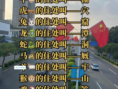 七嘴八舌打一正确生肖怎么猜？一招制胜轻松解开！