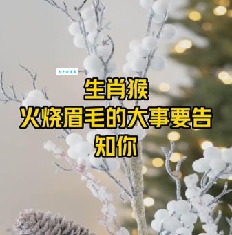 解密火烧眉毛打一个正确生肖,看完你就知道了!
