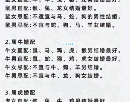 蛇头鼠眼什么生肖才能匹配？答案可能出乎意料！