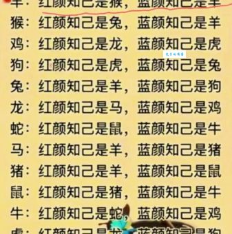 解密曲高和寡打一正确生肖，生肖答案大公开！