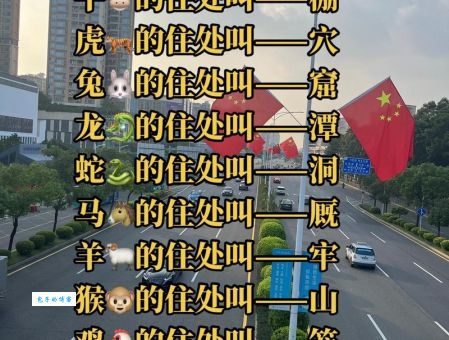 搅海翻江小七煎准确生肖是哪个?一文全搞懂!