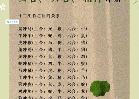 东山再起开过什么生肖？原来这些生肖最吉利！