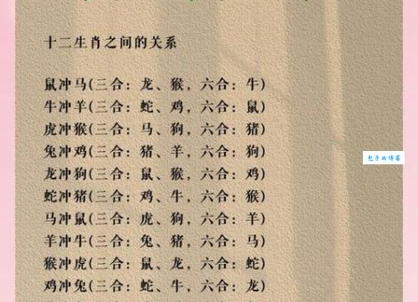 天罗地网打一准确生肖，原来这个生肖最符合！