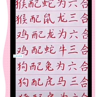 取长补短打一最佳生肖答案揭晓，看完你就懂！