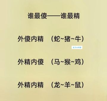 别再苦思冥想，这个生肖就是准确生肖的答案！