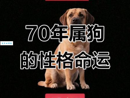 70年属什么生肖？看看你的性格和命运解析！
