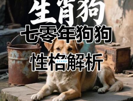 70年属什么生肖？看看你的性格和命运解析！