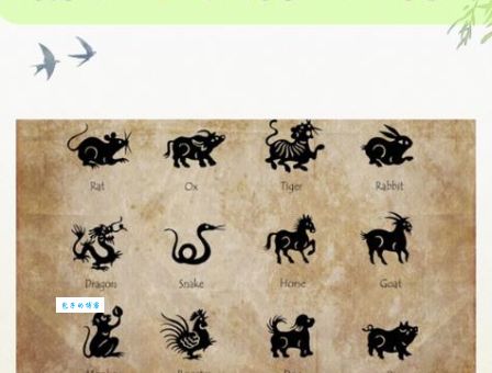 别再问救亡图存是什么生肖了，真相在这里！