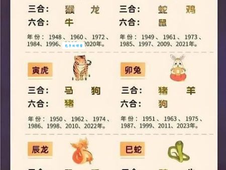 想知道十全十美人生盼打一正确生肖吗？别错过！