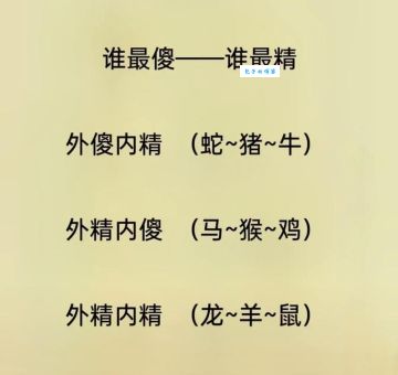 想要飞针走线打一个准确生肖？高手教你轻松猜中！