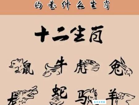 虎踞龙盘打一准确生肖,想知道答案进来瞧!