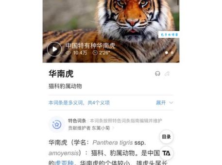 与虎谋皮指什么生肖？一篇文章搞懂含义！