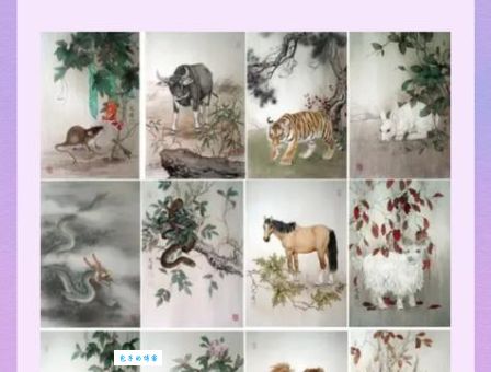 揭秘长年三老打一正确生肖，你猜对了吗？