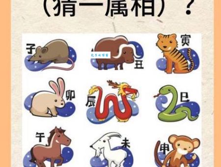 四大才子中状元打一正确生肖？这个谜底你知道吗！