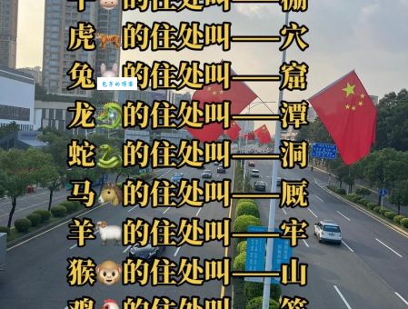 猜猜十里扬州打一准确生肖？资深玩家教你如何猜！