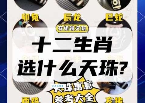 深入解析珠围翠绕指什么生肖？一起来看看！