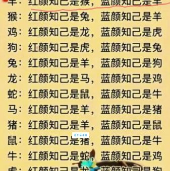 猜猜郎年十九髭未生什么生肖?快来揭晓谜底!